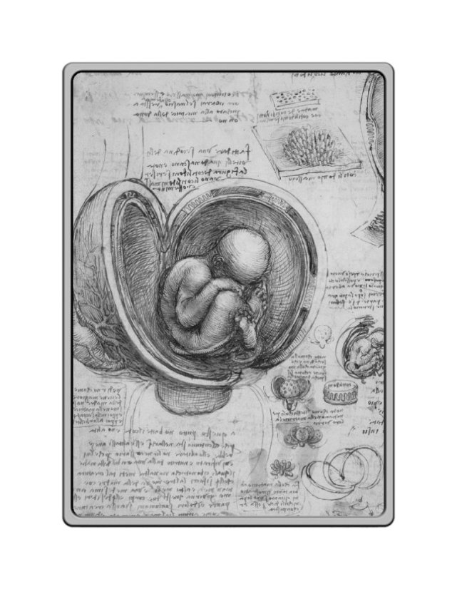 Leonardo da Vinci | Zlaté album | KHM Art