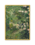 Vincent Van Gogh | Zlaté album | KHM Art