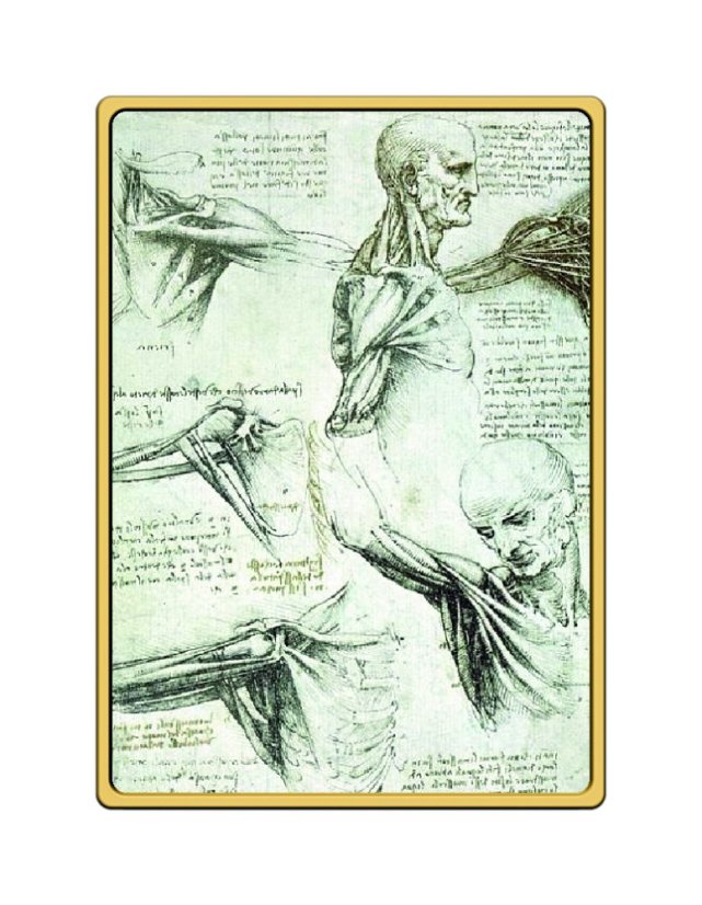 Leonardo da Vinci | Zlaté album | KHM Art