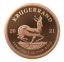 Zlatá mince Krugerrand 1OZ